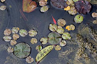 传闻：华纳正在开发《新蝙蝠侠》设定《企鹅人》游戏